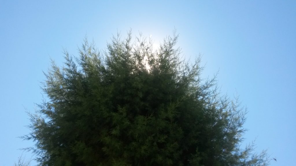 20160711_111742